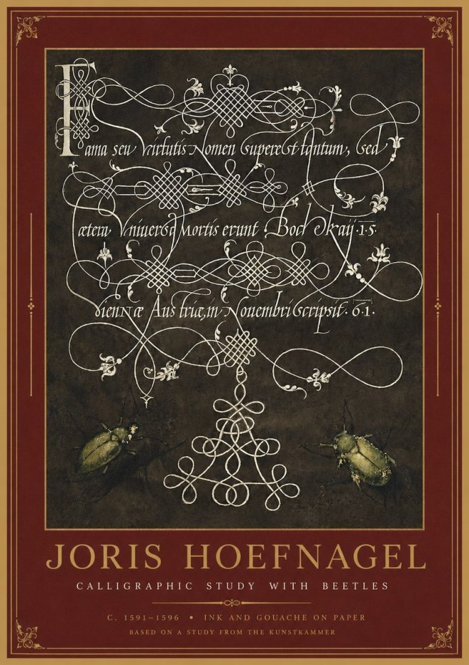 Joris Hoefnagel Calligraphic Study with Beetles No2 - Juliste