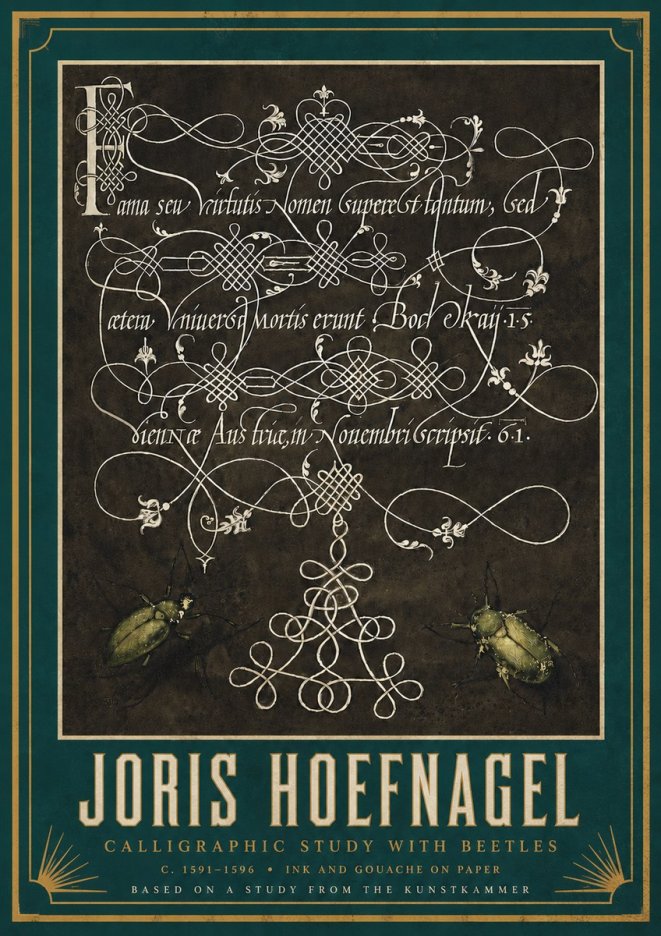 Joris Hoefnagel Calligraphic Study with Beetles No3 - Juliste