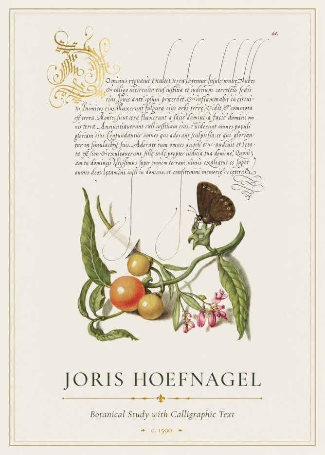 Joris Hoefnagel Botanical Study with Calligraphic Text No1 - Juliste
