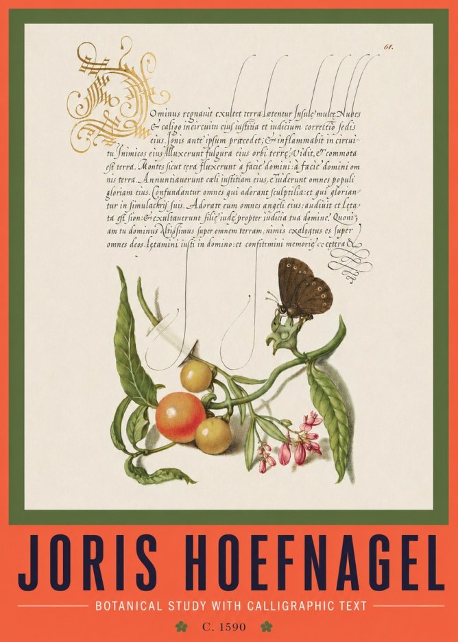 Joris Hoefnagel Botanical Study with Calligraphic Text No2 - Juliste