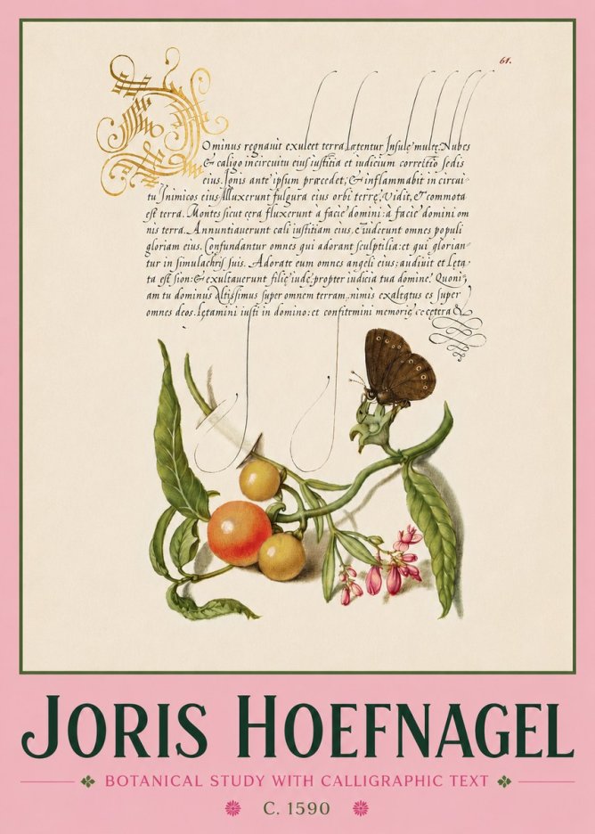 Joris Hoefnagel Botanical Study with Calligraphic Text No4 - Juliste