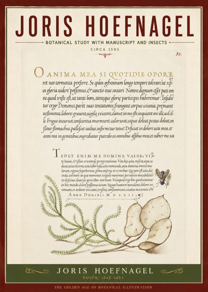 Joris Hoefnagel Botanical Study with Manuscript and Insects No2 - Juliste