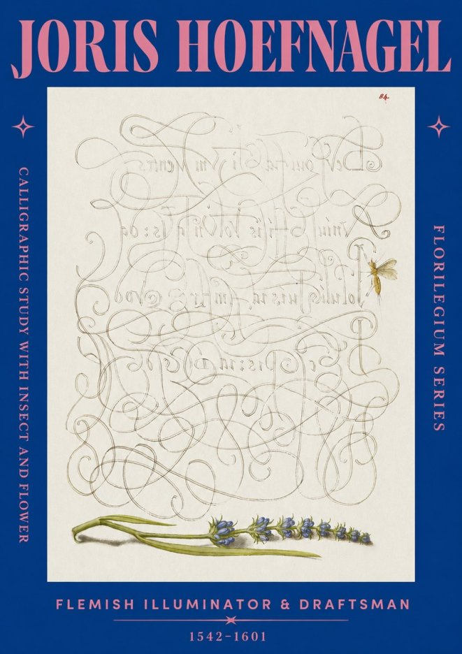 Joris Hoefnagel Calligraphic Study with Insect and Flower No2 - Juliste
