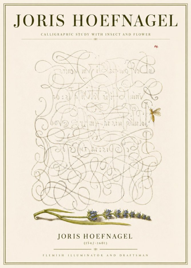 Joris Hoefnagel Calligraphic Study with Insect and Flower No3 - Juliste