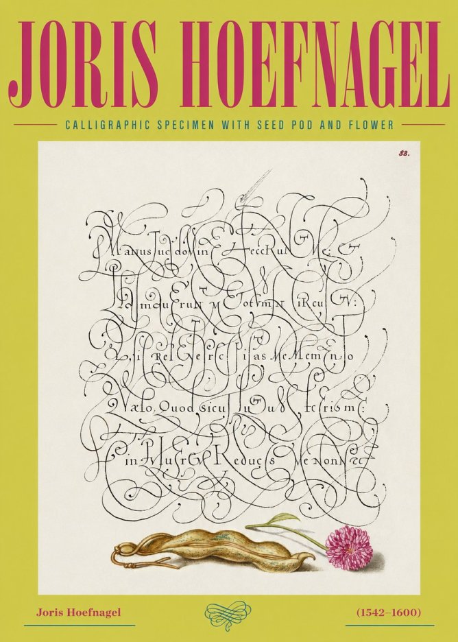 Joris Hoefnagel Calligraphic Specimen with Seed Pod and Flower No2 - Juliste
