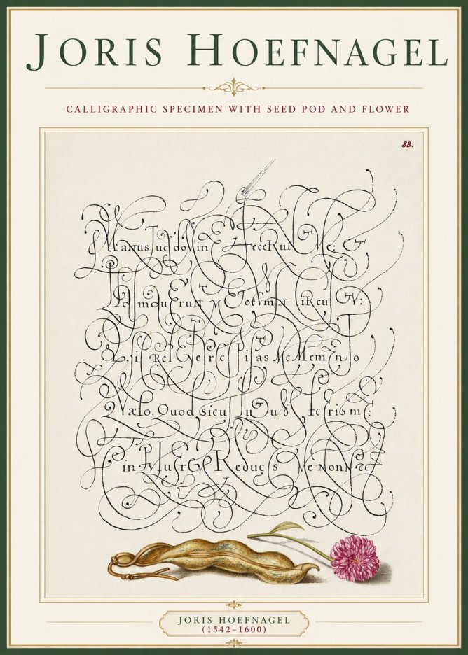 Joris Hoefnagel Calligraphic Specimen with Seed Pod and Flower No3 - Juliste