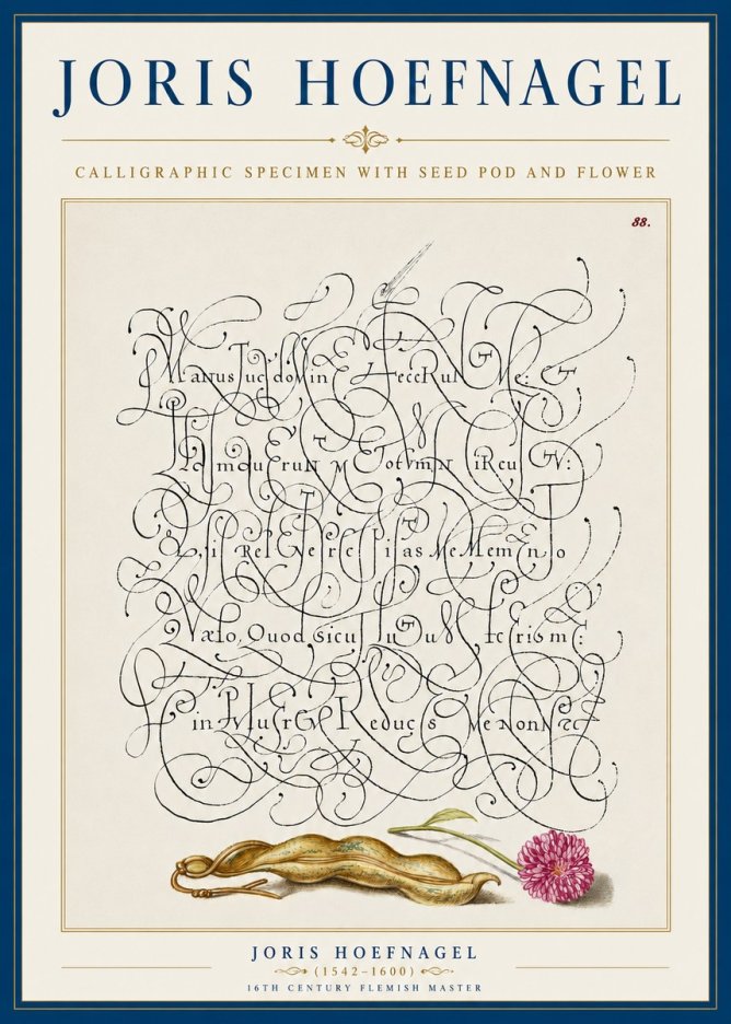 Joris Hoefnagel Calligraphic Specimen with Seed Pod and Flower No5 - Juliste