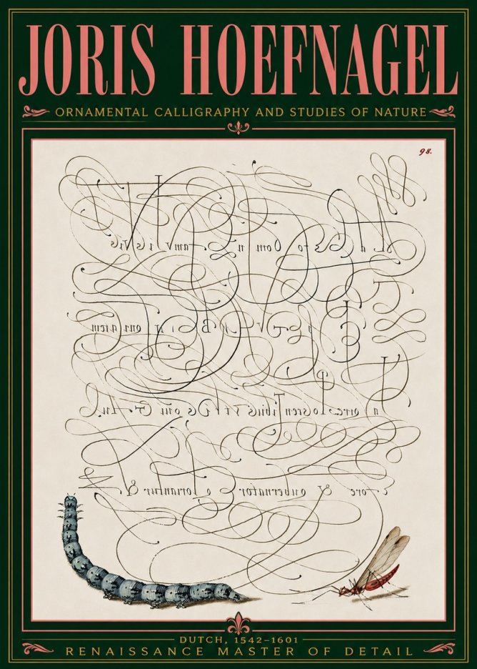Joris Hoefnagel Ornamental Calligraphy and Studies of Nature No5 - Juliste