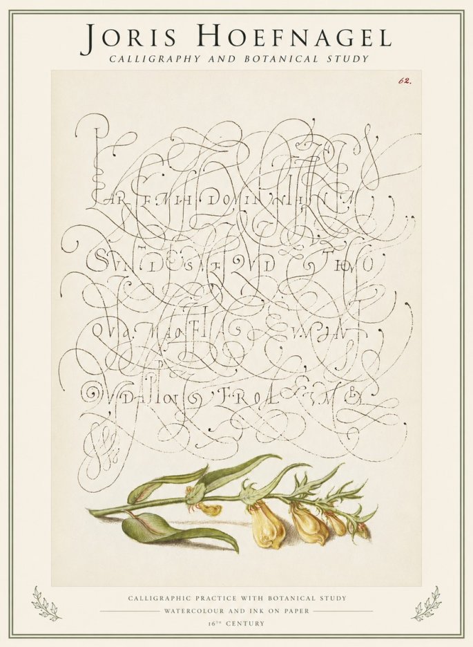 Joris Hoefnagel Calligraphic Practice with Botanical Study No1 - Juliste