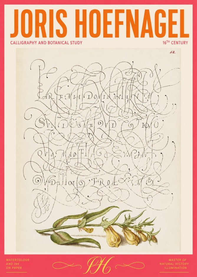 Joris Hoefnagel Calligraphic Practice with Botanical Study No2 - Juliste