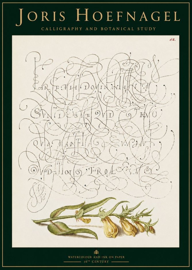 Joris Hoefnagel Calligraphic Practice with Botanical Study No3 - Juliste