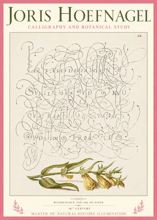 Joris Hoefnagel Calligraphic Practice with Botanical Study No5 - Juliste