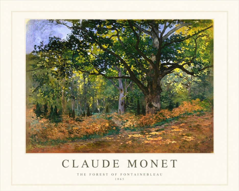 Monet The Forest of Fontainebleau No1 - Juliste