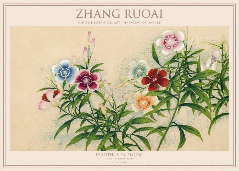 Zhang Ruoai Dianthus in Bloom No1 - Juliste