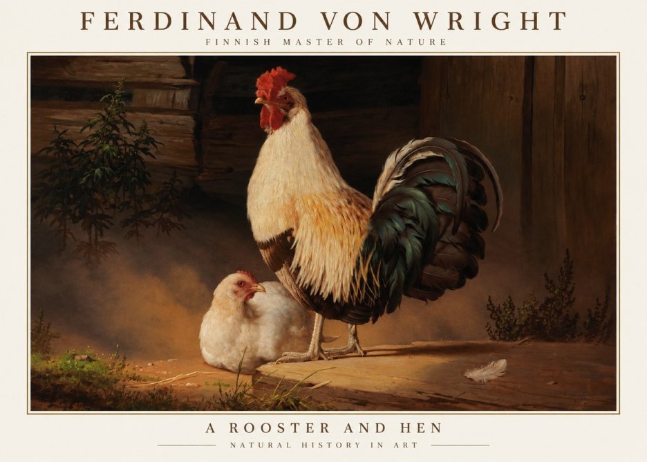 Ferdinand von Wright Cock and Hen No6 - Juliste