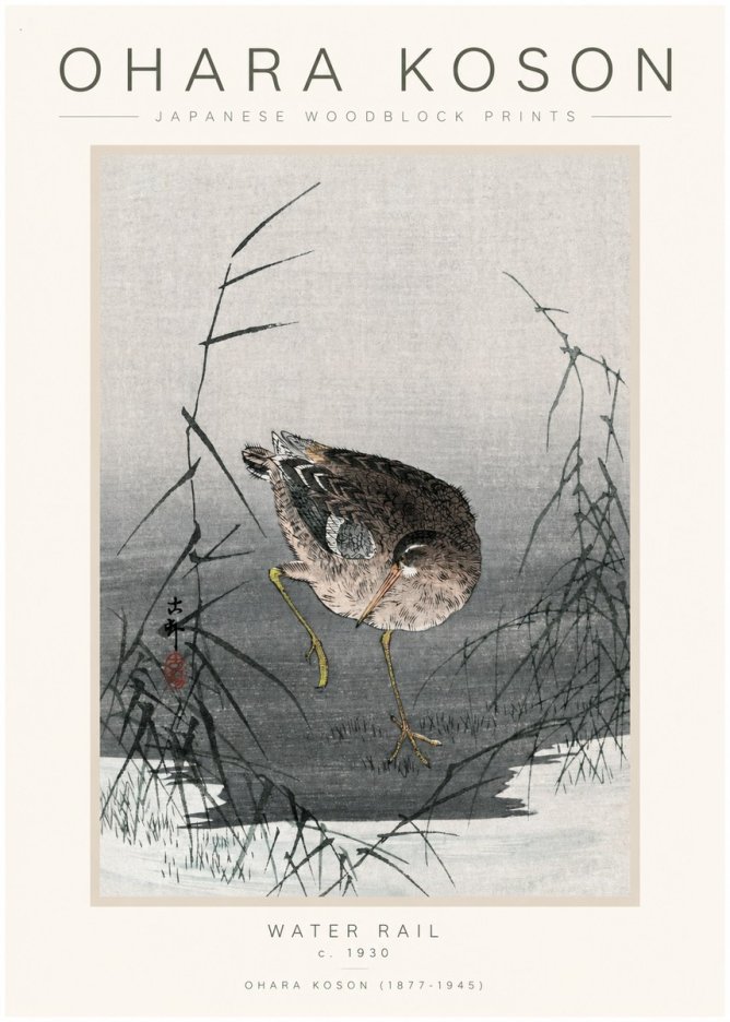 Ohara Koson Water Rail No1 - Juliste