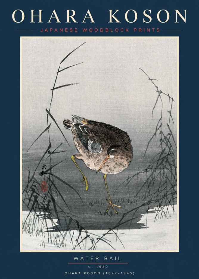 Ohara Koson Water Rail No2 - Juliste