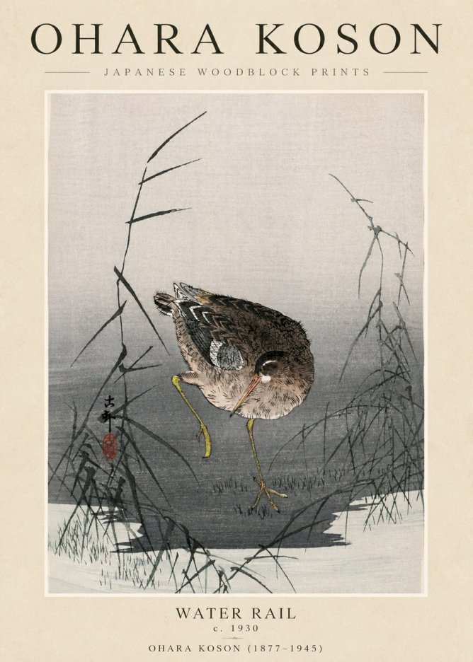 Ohara Koson Water Rail No3 - Juliste