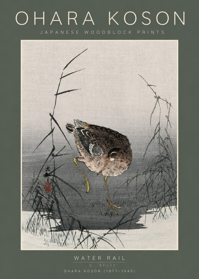 Ohara Koson Water Rail No5 - Juliste