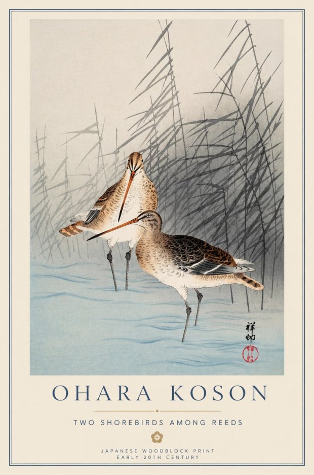 Ohara Koson Snipe in the Reeds No2 - Juliste