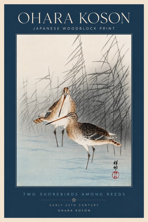 Ohara Koson Snipe in the Reeds No4 - Juliste