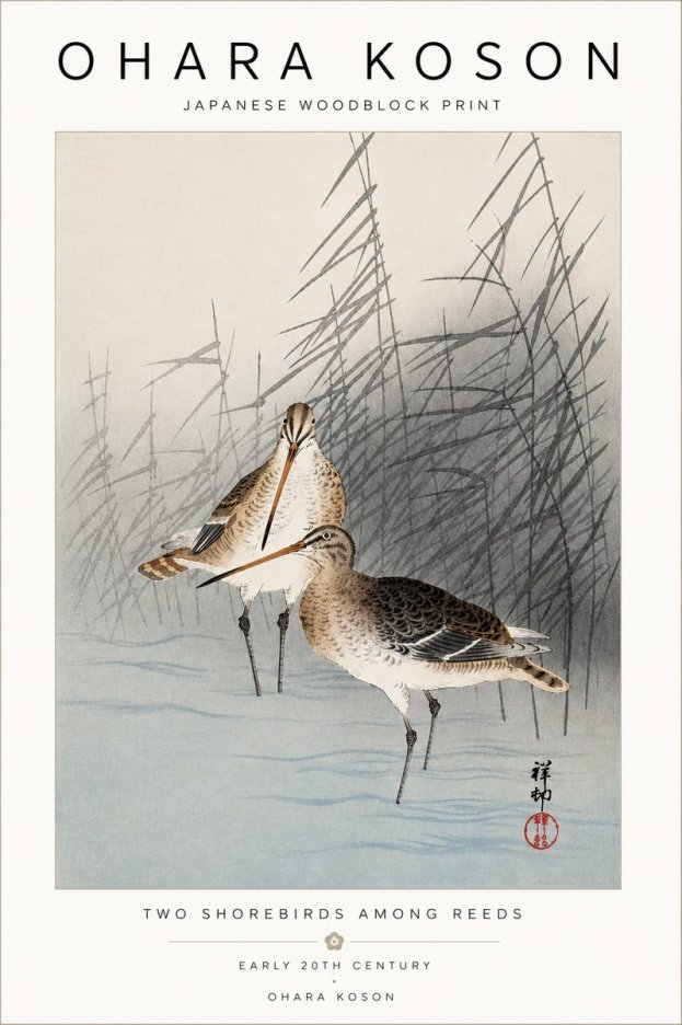 Ohara Koson Snipe in the Reeds No5 - Juliste