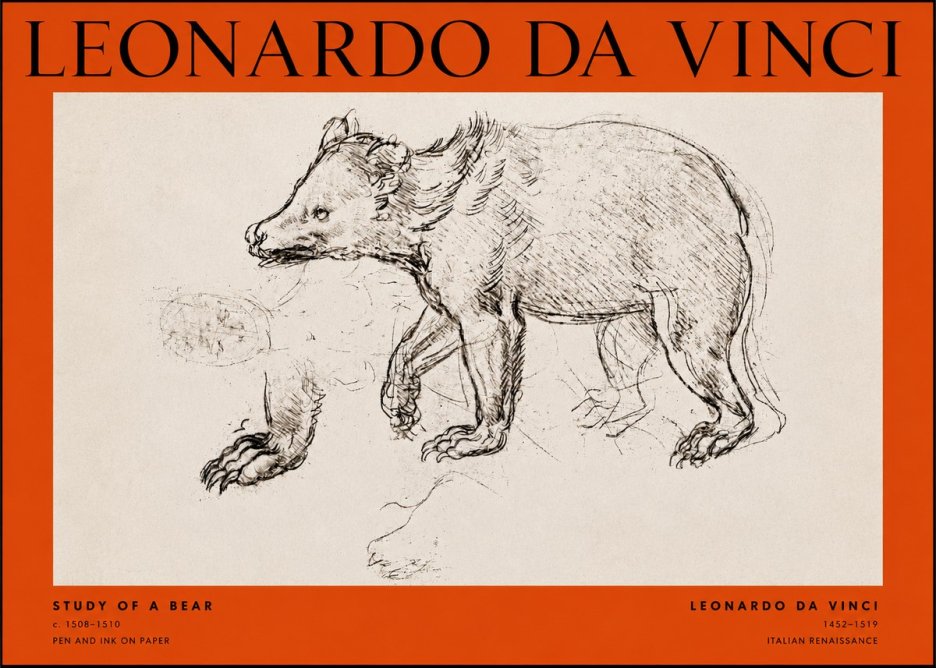 Leonardo da Vinci Study of a Bear No2 - Juliste