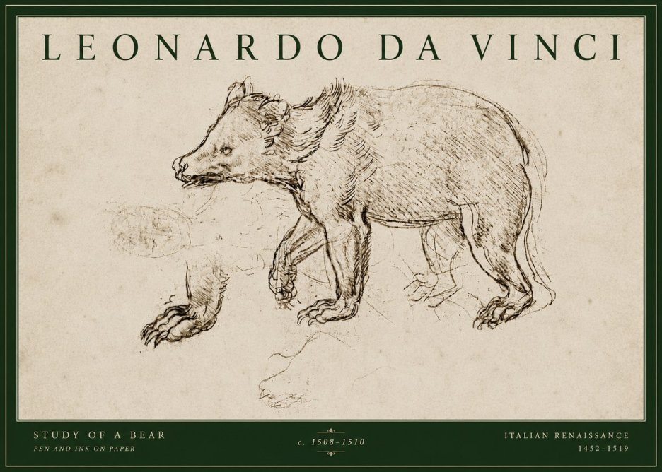 Leonardo da Vinci Study of a Bear No4 - Juliste