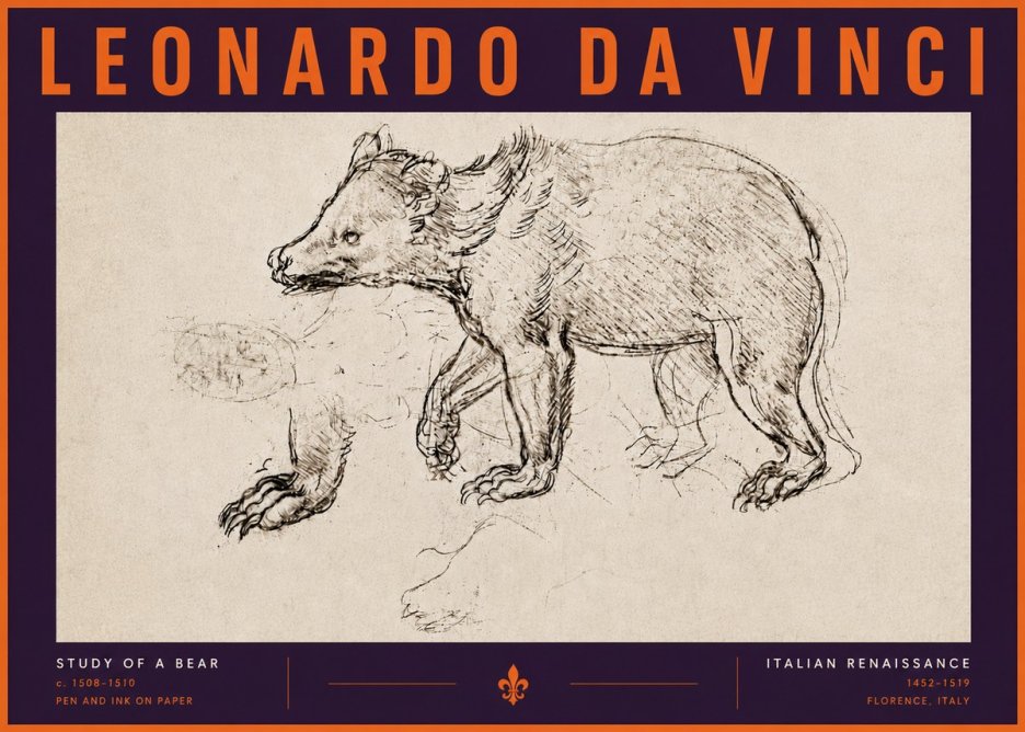 Leonardo da Vinci Study of a Bear No6 - Juliste