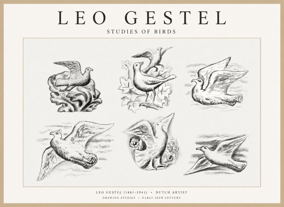 Leo Gestel Studies of Birds No1 - Juliste