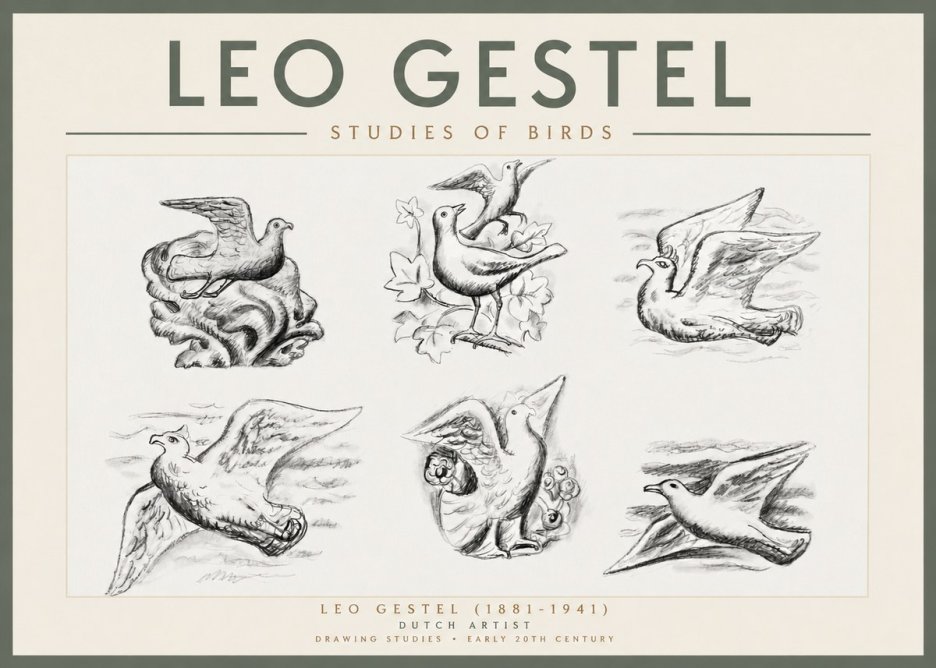 Leo Gestel Studies of Birds No3 - Juliste