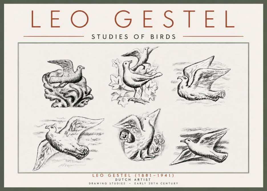 Leo Gestel Studies of Birds No5 - Juliste