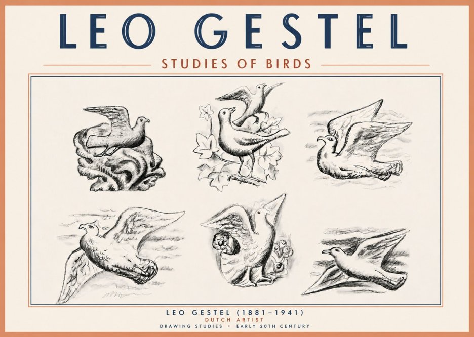 Leo Gestel Studies of Birds No6 - Juliste