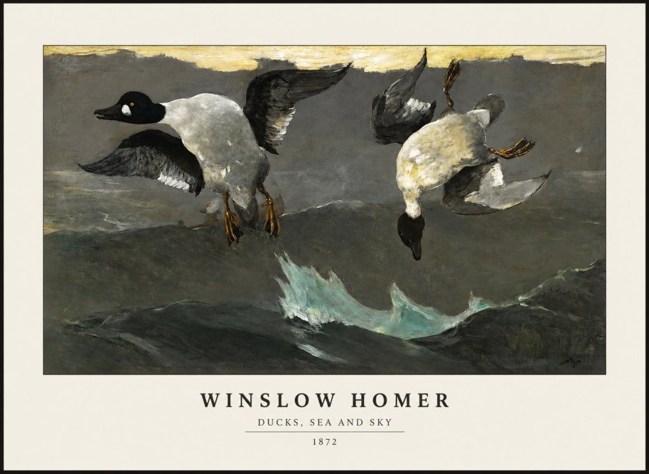 Winslow Homer Ducks, Sea and Sky No1 - Juliste
