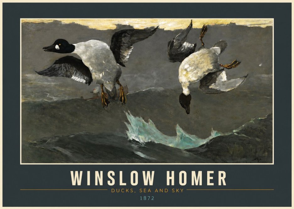 Winslow Homer Ducks, Sea and Sky No2 - Juliste