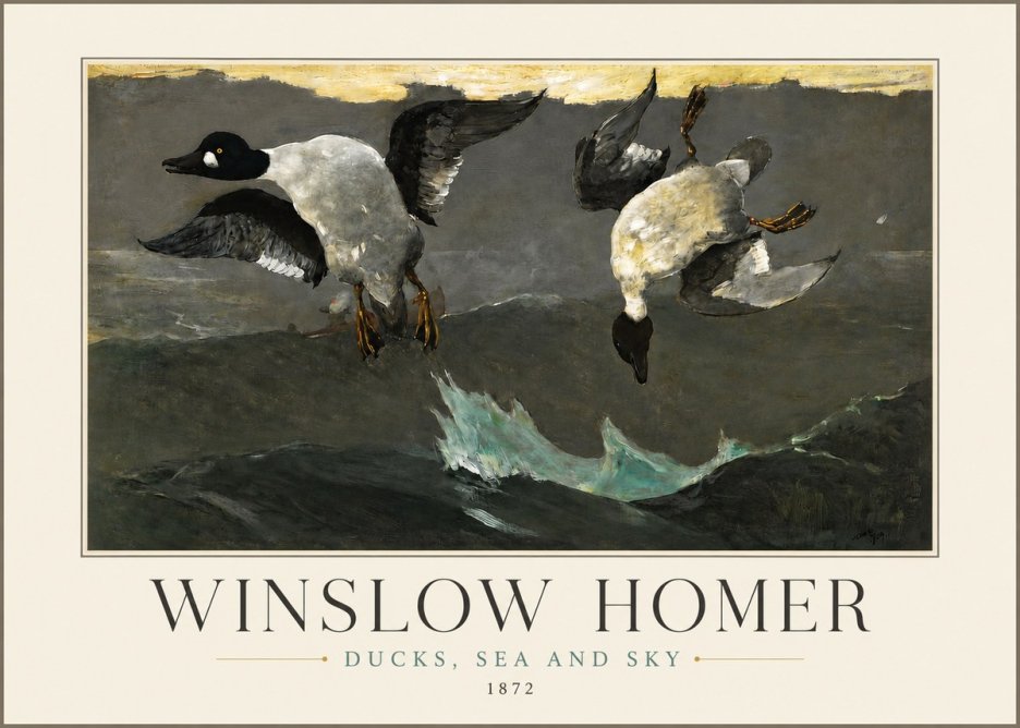 Winslow Homer Ducks, Sea and Sky No3 - Juliste
