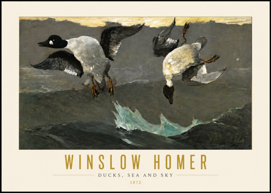 Winslow Homer Ducks, Sea and Sky No4 - Juliste