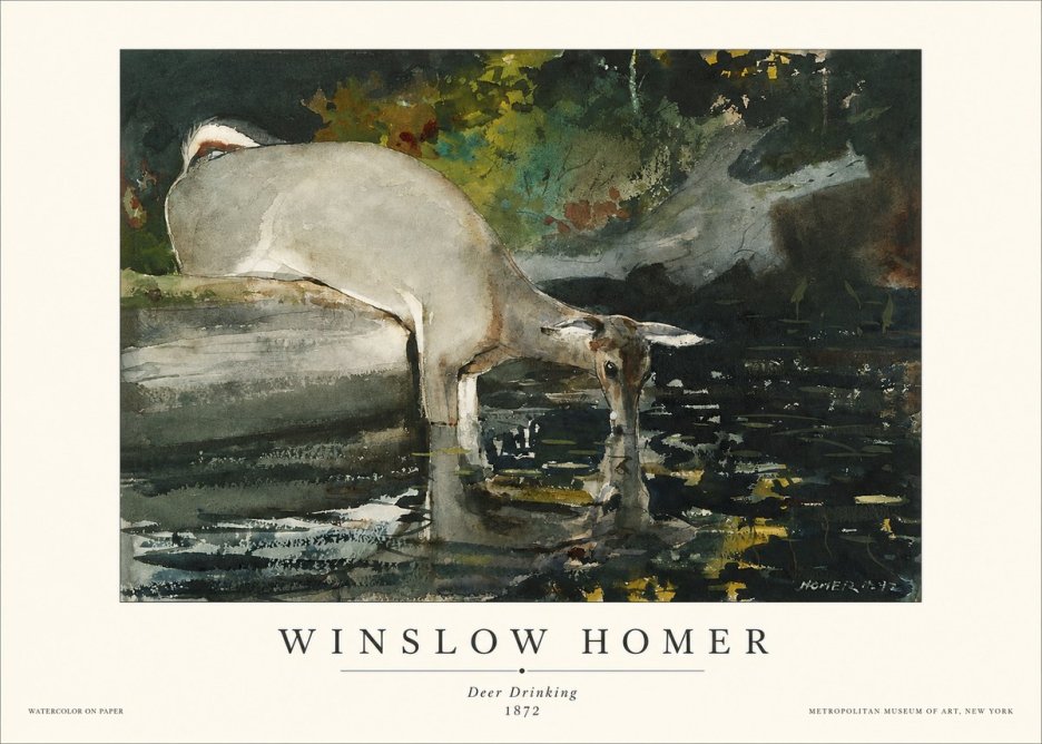 Winslow Homer Deer Drinking No1 - Juliste