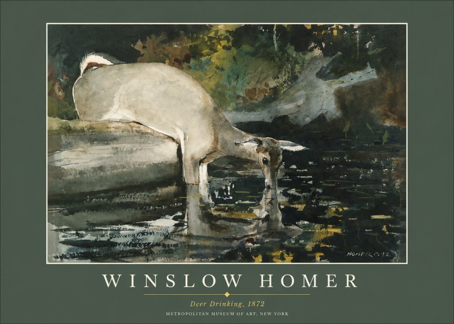 Winslow Homer Deer Drinking No2 - Juliste