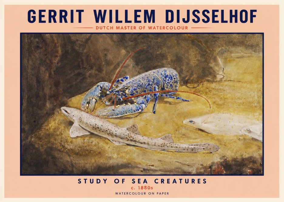 Gerrit Willem Dijsselhof Study of Sea Creatures No2 - Juliste