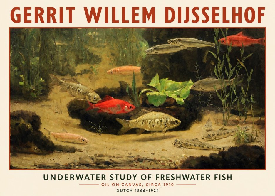 Gerrit Willem Dijsselhof Underwater Study of Freshwater Fish No3 - Juliste