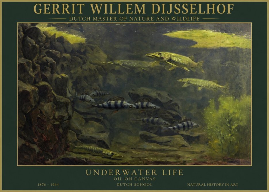 Gerrit Willem Dijsselhof Underwater Life No1 - Juliste