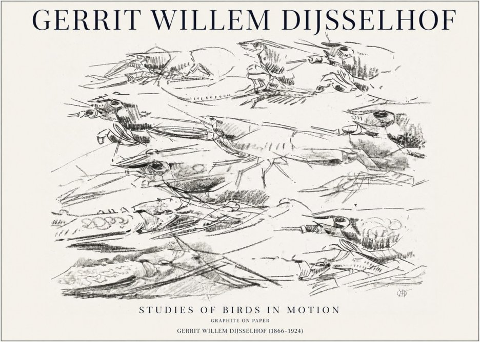 Gerrit Willem Dijsselhof Studies of Birds in Motion No1 - Juliste