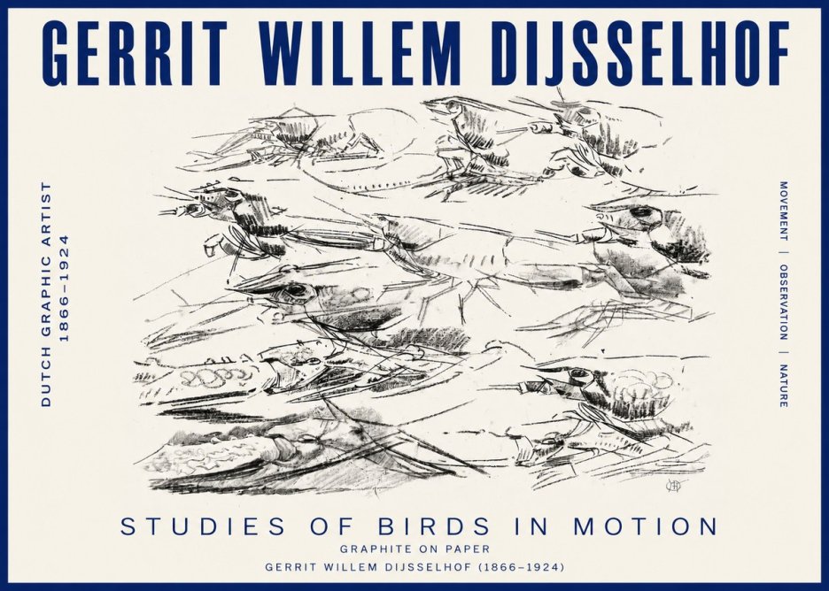 Gerrit Willem Dijsselhof Studies of Birds in Motion No3 - Juliste