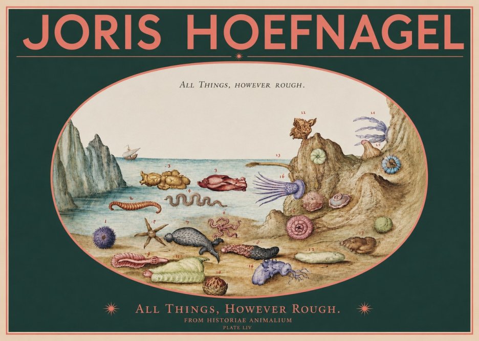Joris Hoefnagel Totvs Echinvs Asper. Plate Liv No3 - Juliste