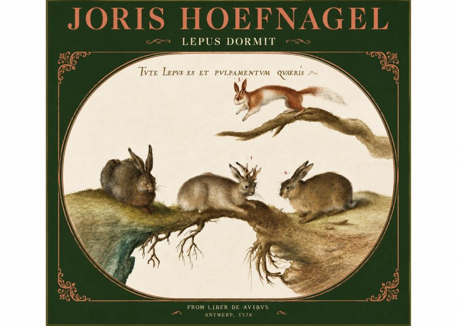 Joris Hoefnagel Lepvs Dormit No2 - Juliste