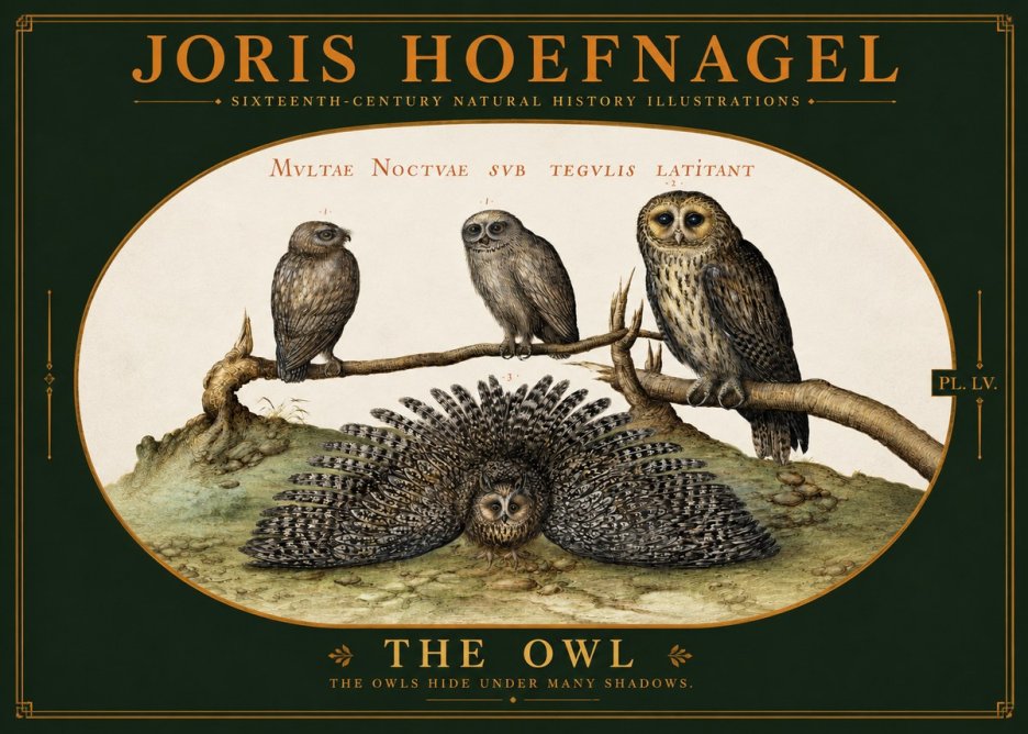 Joris Hoefnagel Noctva Volat No6 - Juliste