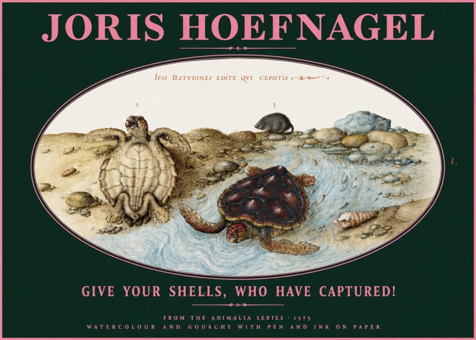 Joris Hoefnagel Two Turtles in a Stream No3 - Juliste