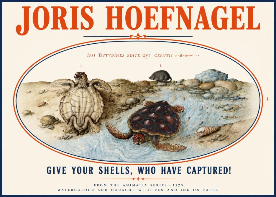 Joris Hoefnagel Two Turtles in a Stream No4 - Juliste