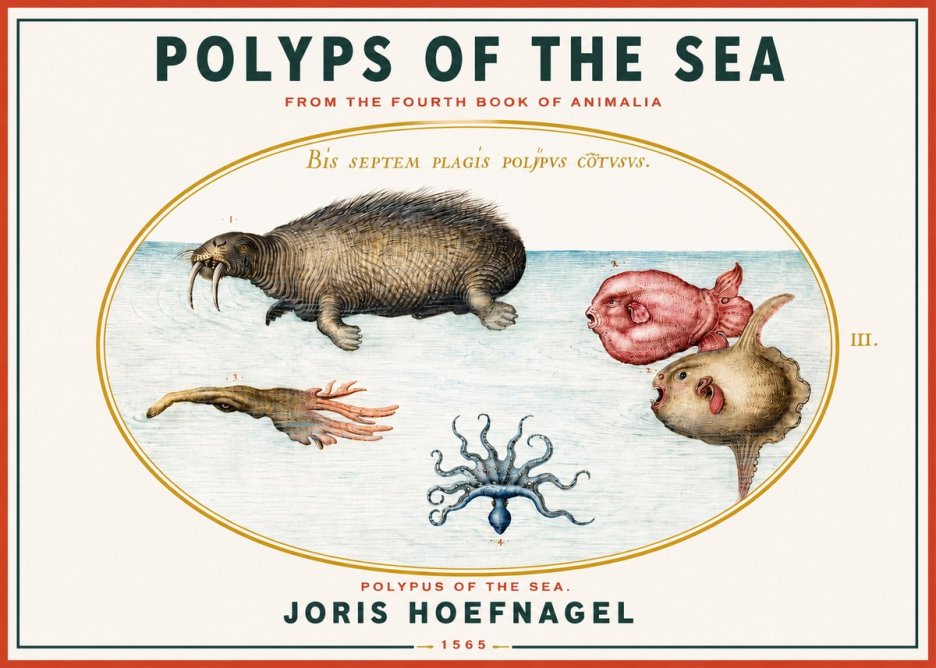Joris Hoefnagel Polyps of the Sea No3 - Juliste